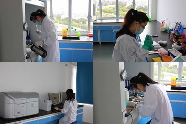 歐易訪談 專注生物技術服務，以技術開發(fā)驅(qū)動質(zhì)量與體驗雙提升